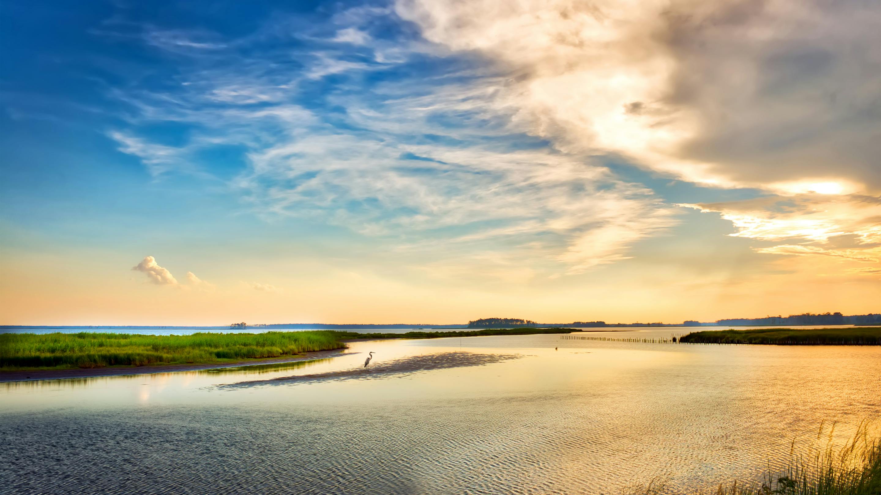 Chesapeake Executive Council approves revised watershed agreement, outlining next phase of restoration