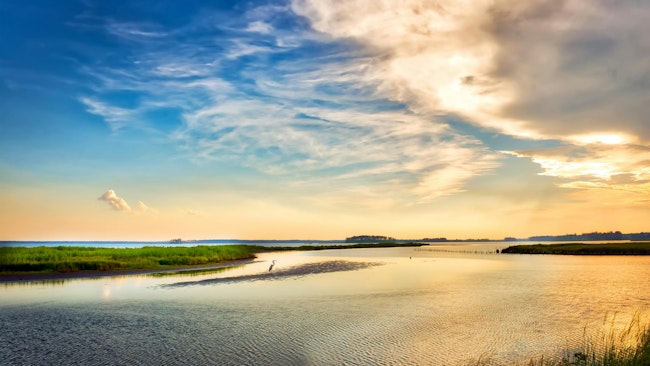 Chesapeake Executive Council approves revised watershed agreement, outlining next phase of restoration