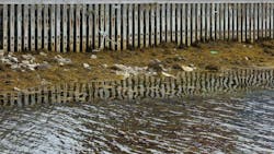 Seaweed and moss on the shore in front of a fence, Qaqortoq, Greenland Seaweed and moss on the shore in front of a fence, Qaqortoq, Greenland