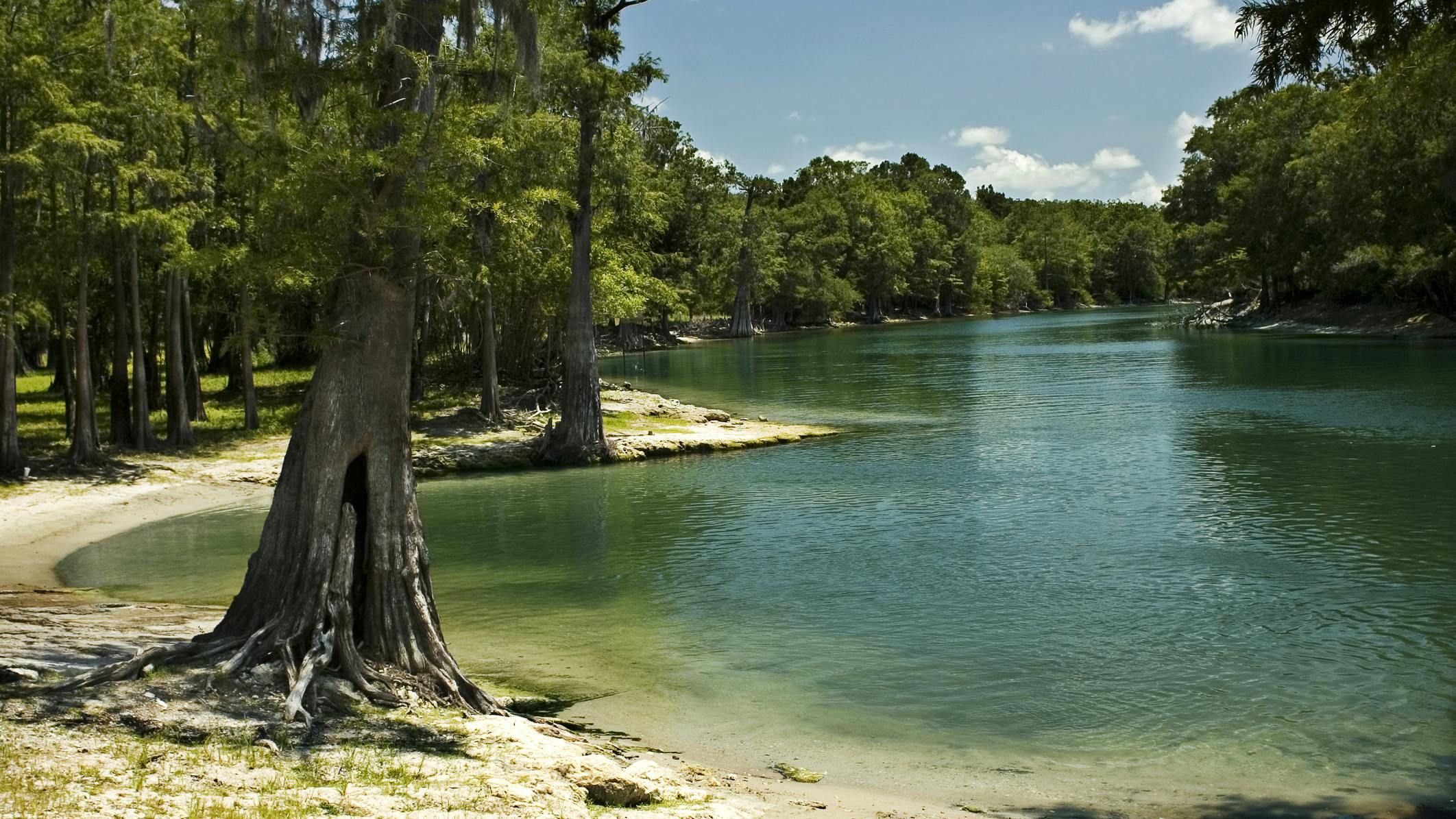 The beach on the Santa Fe River near Branford, Florida