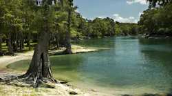 The beach on the Santa Fe River near Branford, Florida
