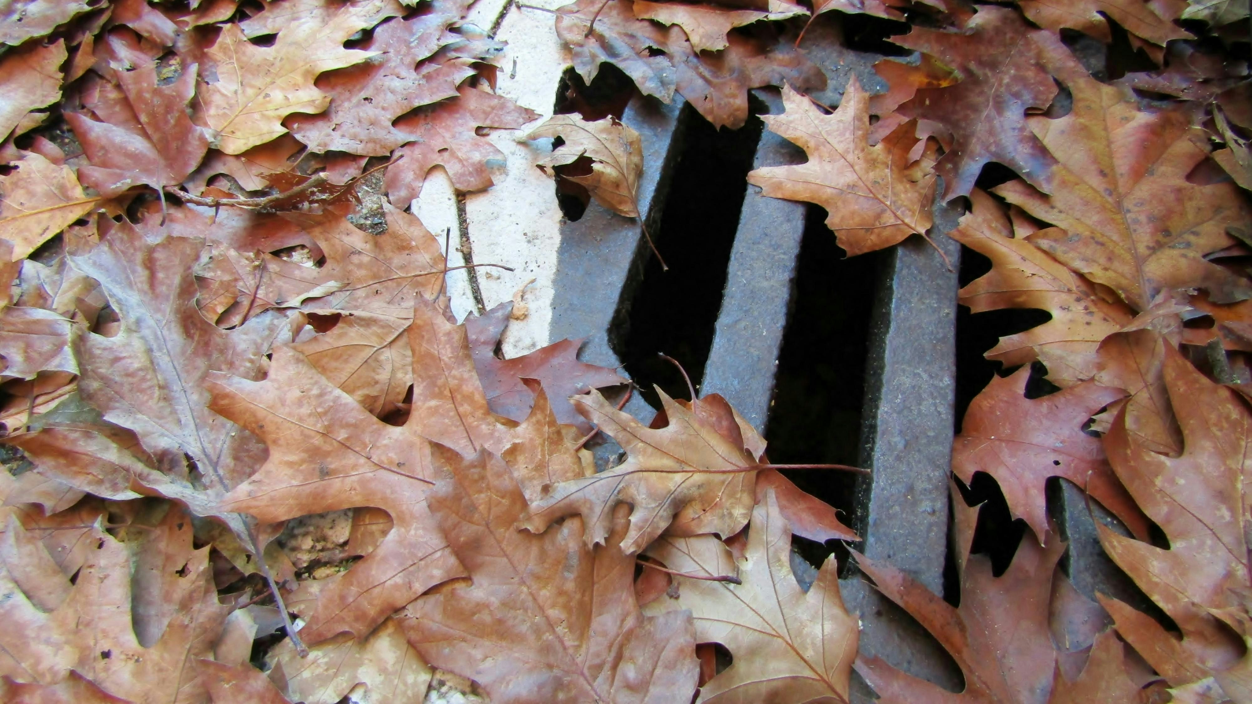 Stormwater control measures performance standars are crucial to putting in the industry into the minds of those who can push for funding and policy development to benefit the market as a whole.