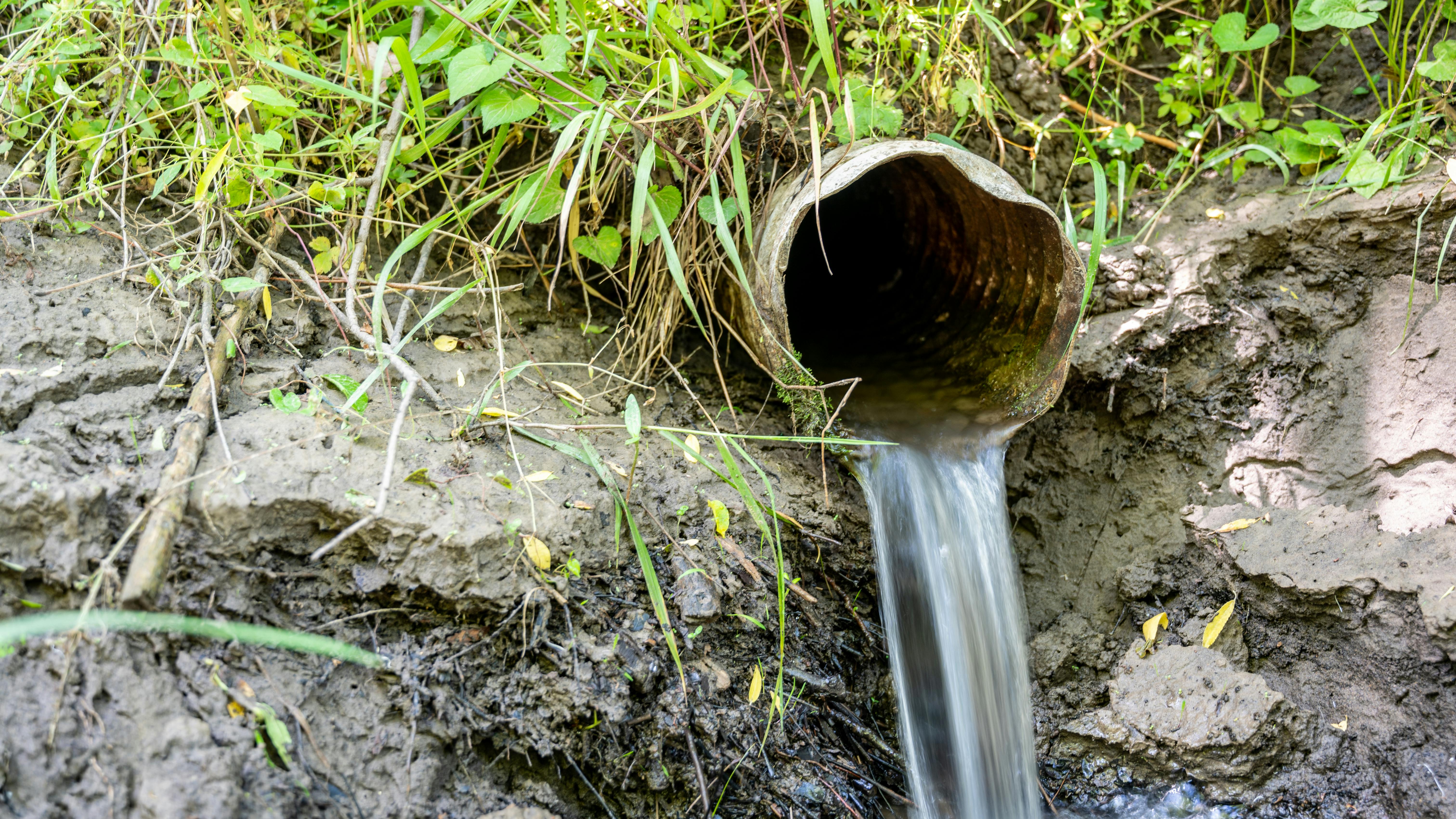 69821ca8576ab958e03fbafd Dreamstime Xxl 187189116