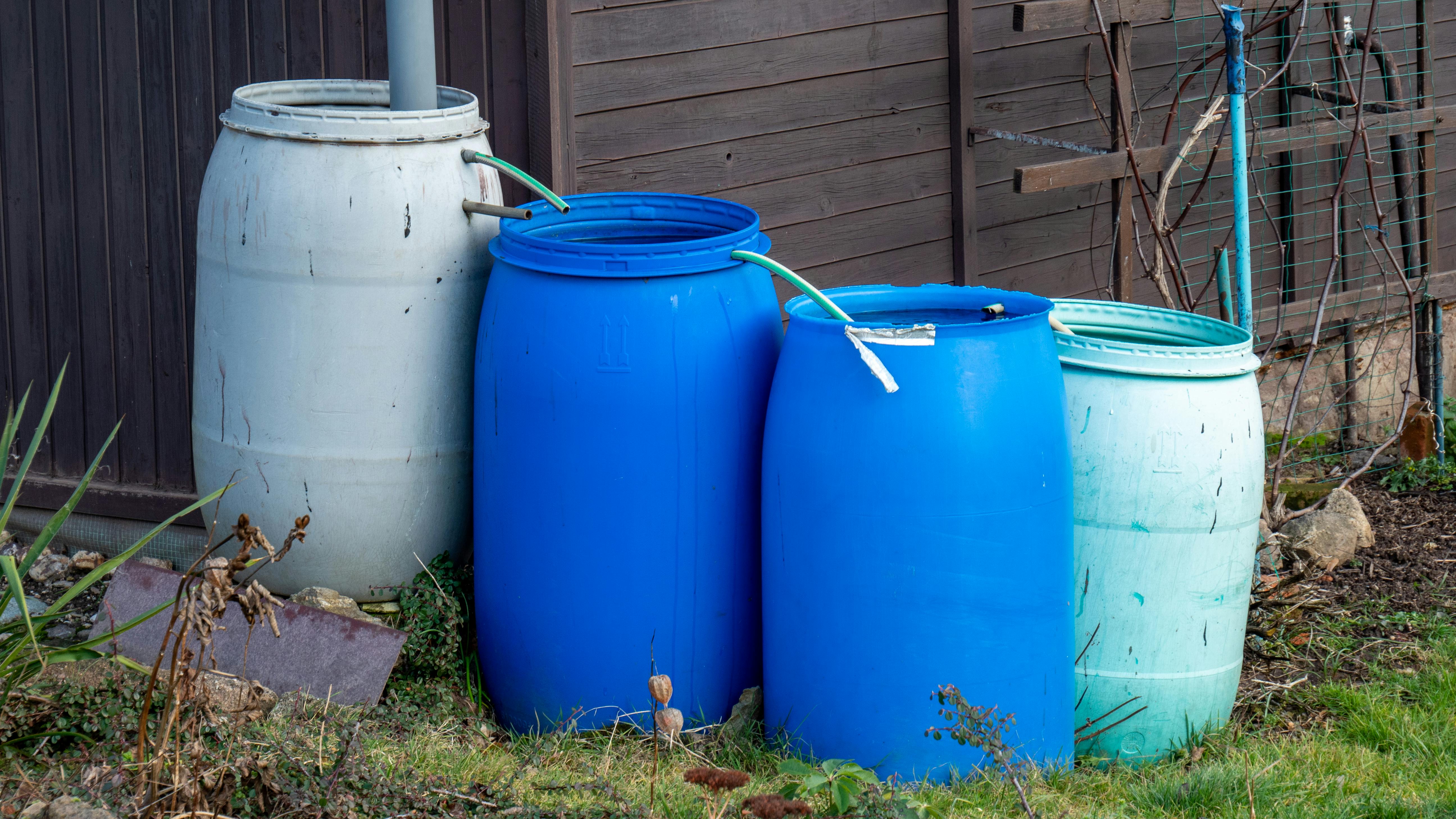 dreamstime_xxl_239307339