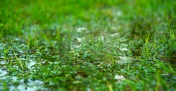 698600fe6552022f493275b1 Dreamstime Xxl 241528874 698600fe6552022f493275b1 Dreamstime Xxl 241528874