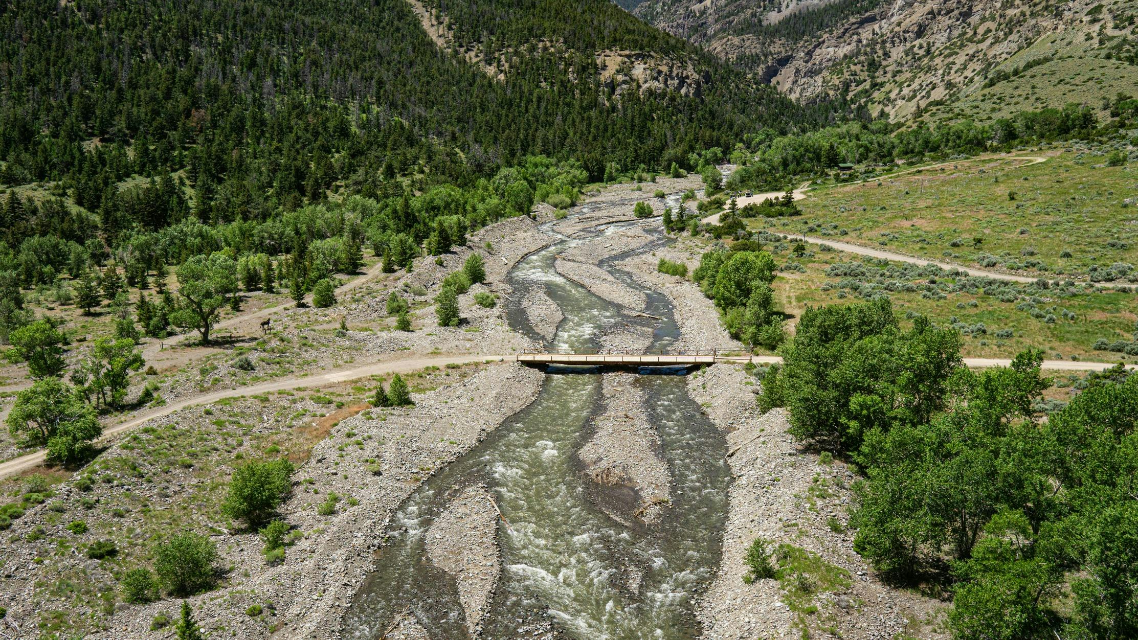 Valley Bridge over Wyoming Mountain Stream near Cody