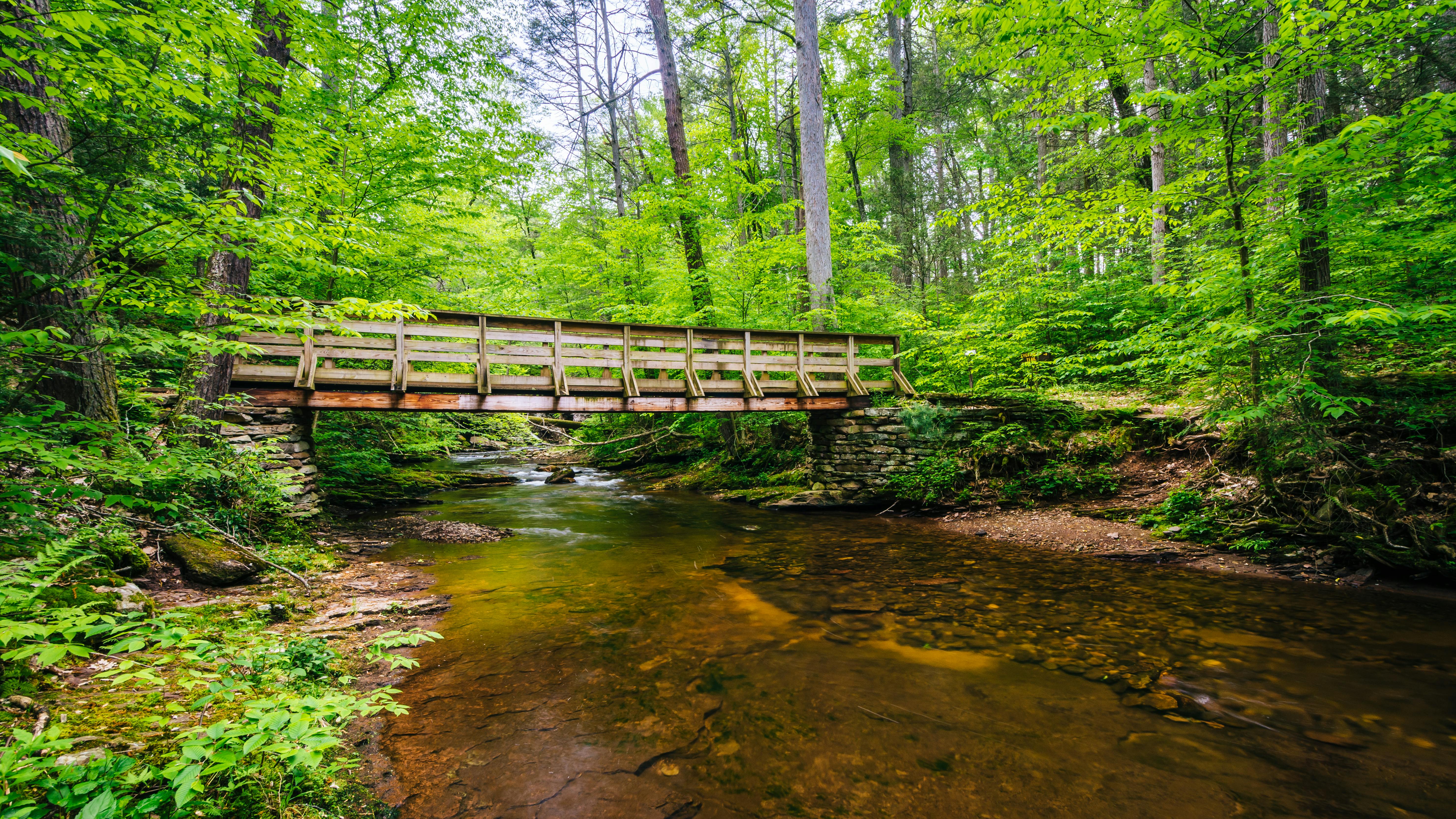 dreamstime_xxl_147485416