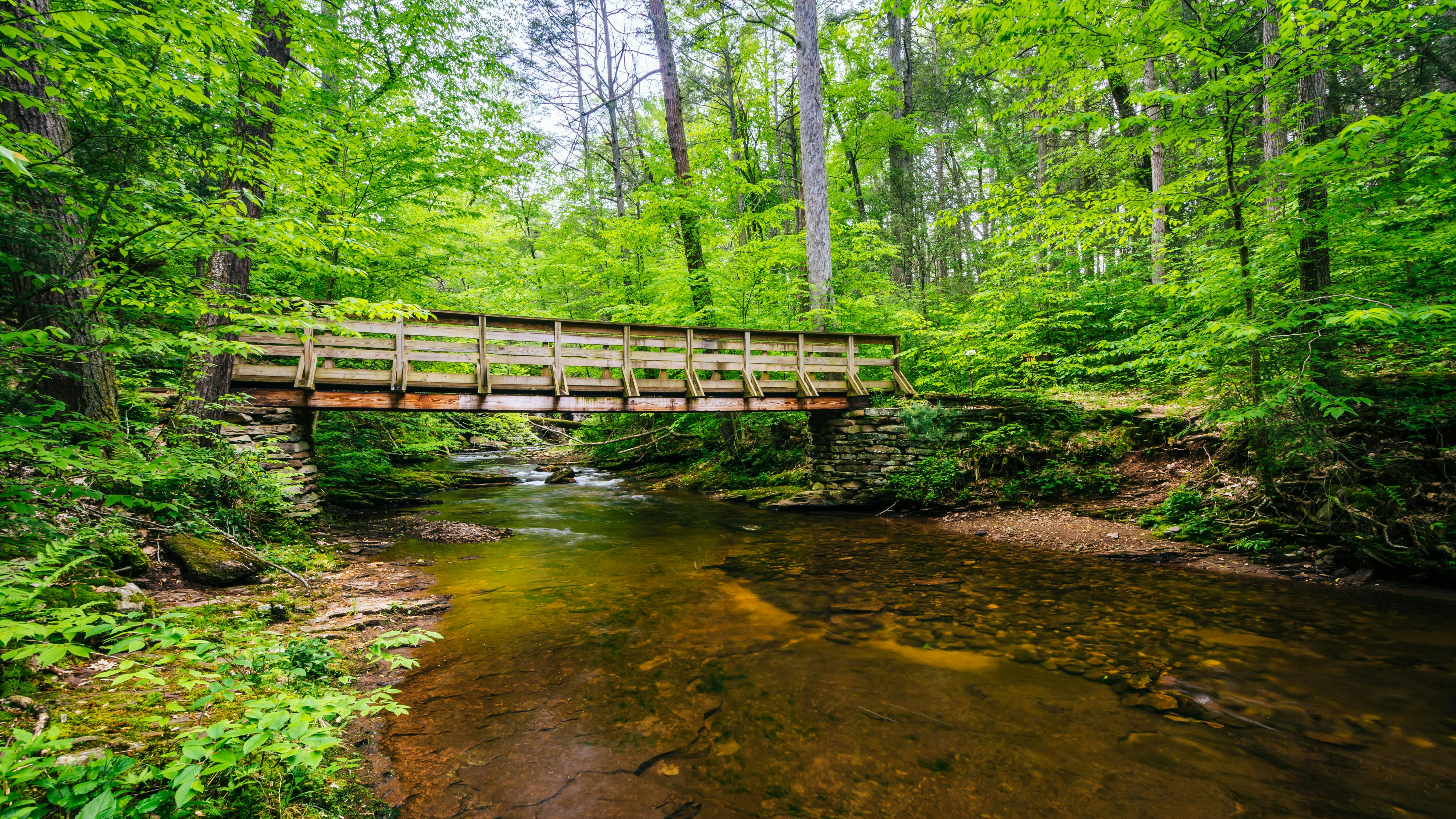 69934507f49e22ecef093979 Dreamstime Xxl 147485416