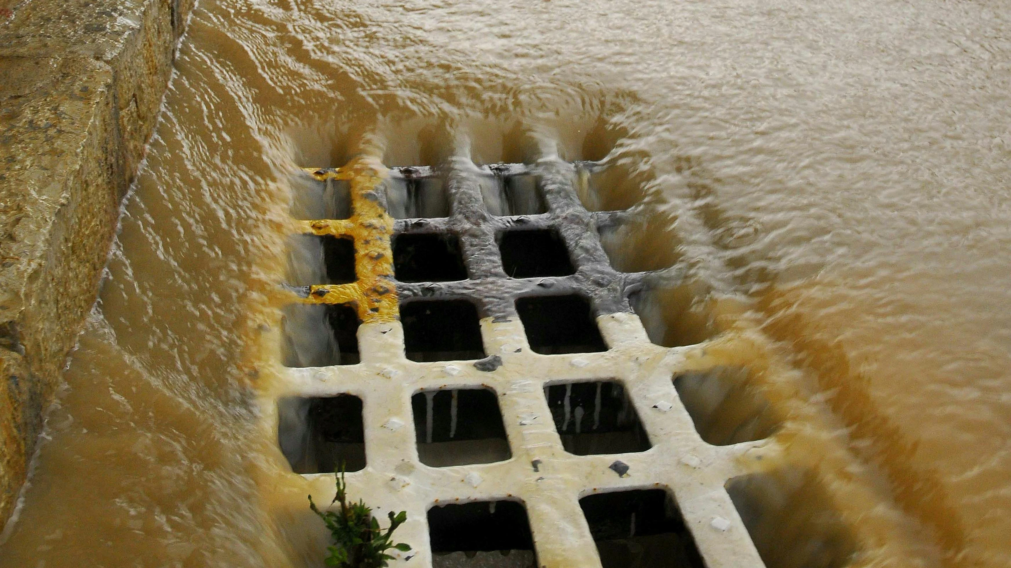 69a1fbb67ad549df0bb57a8d Dreamstime Xxl 59618836