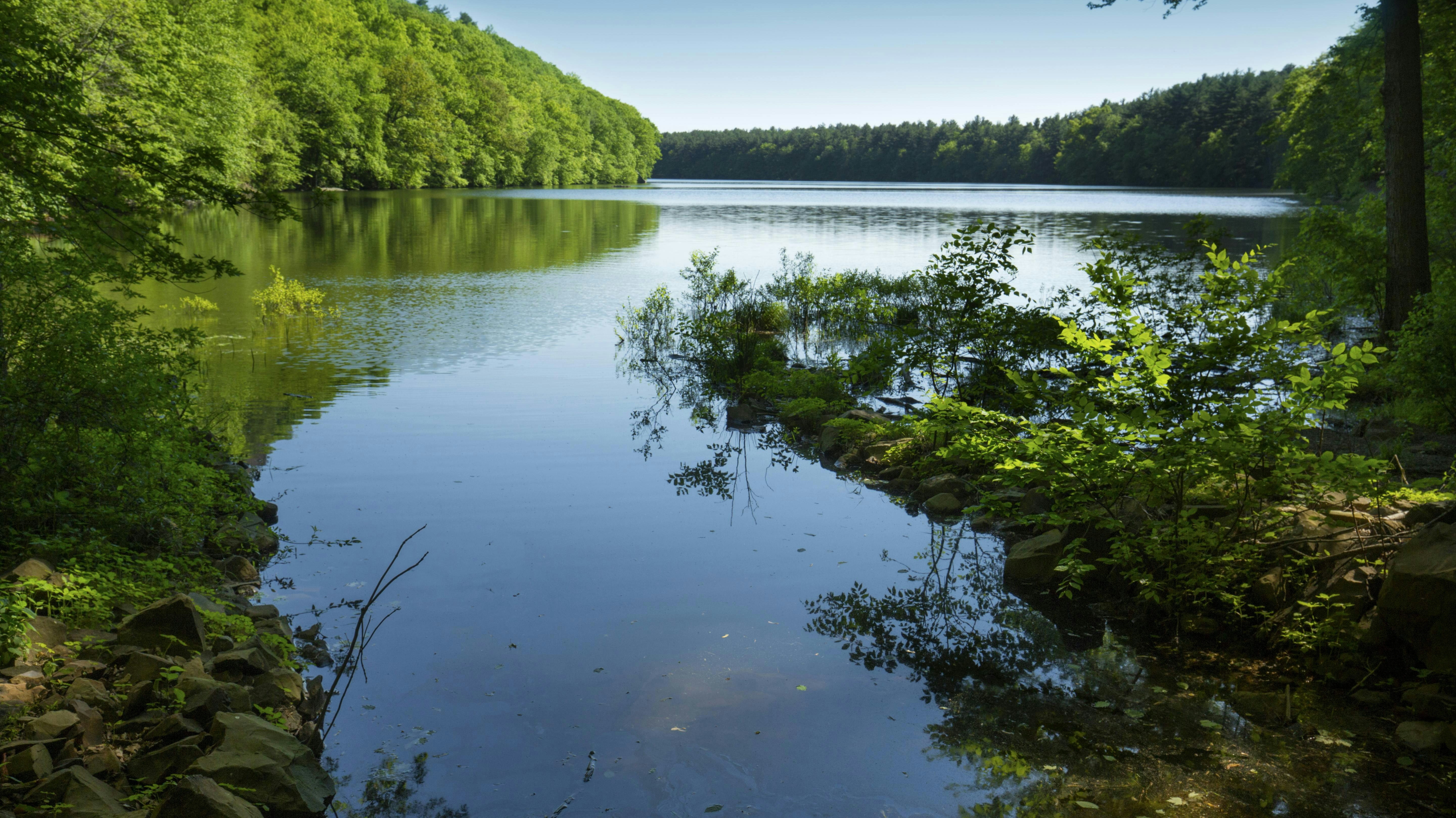 69a710b67ad549df0bb790dd Dreamstime Xxl 123254204