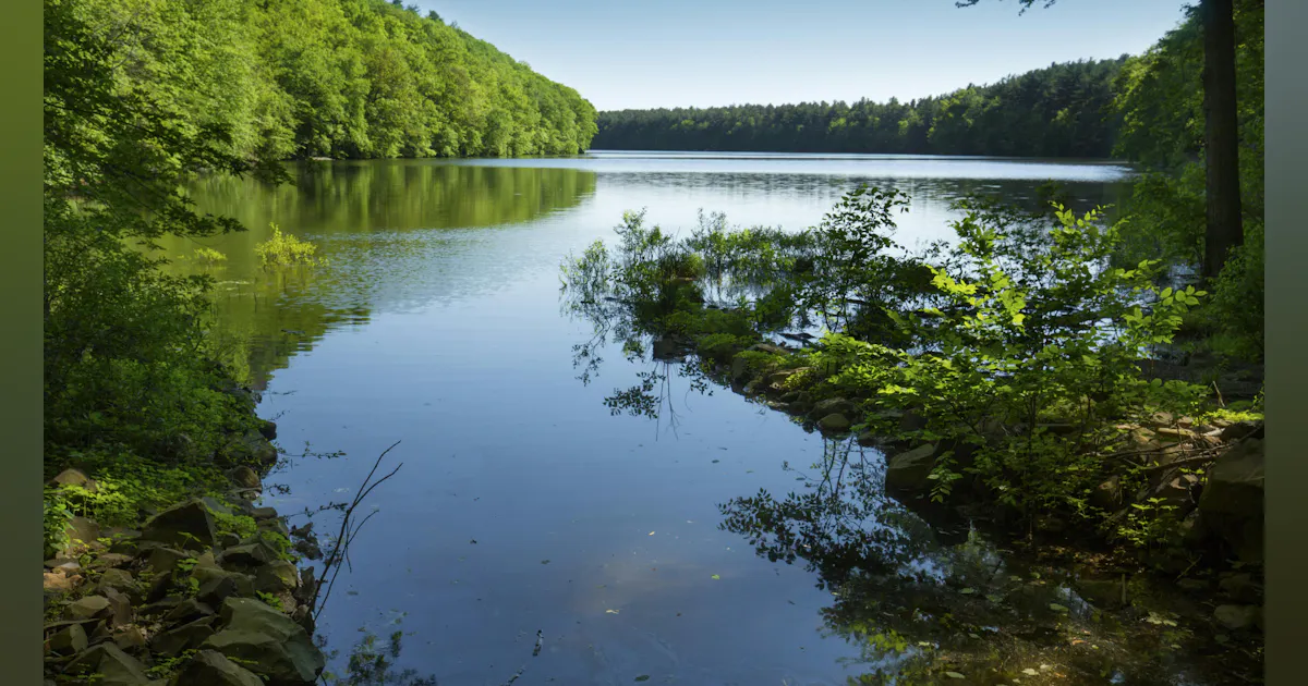 Connecticut city's stormwater report reveals septic failures, pollution ...