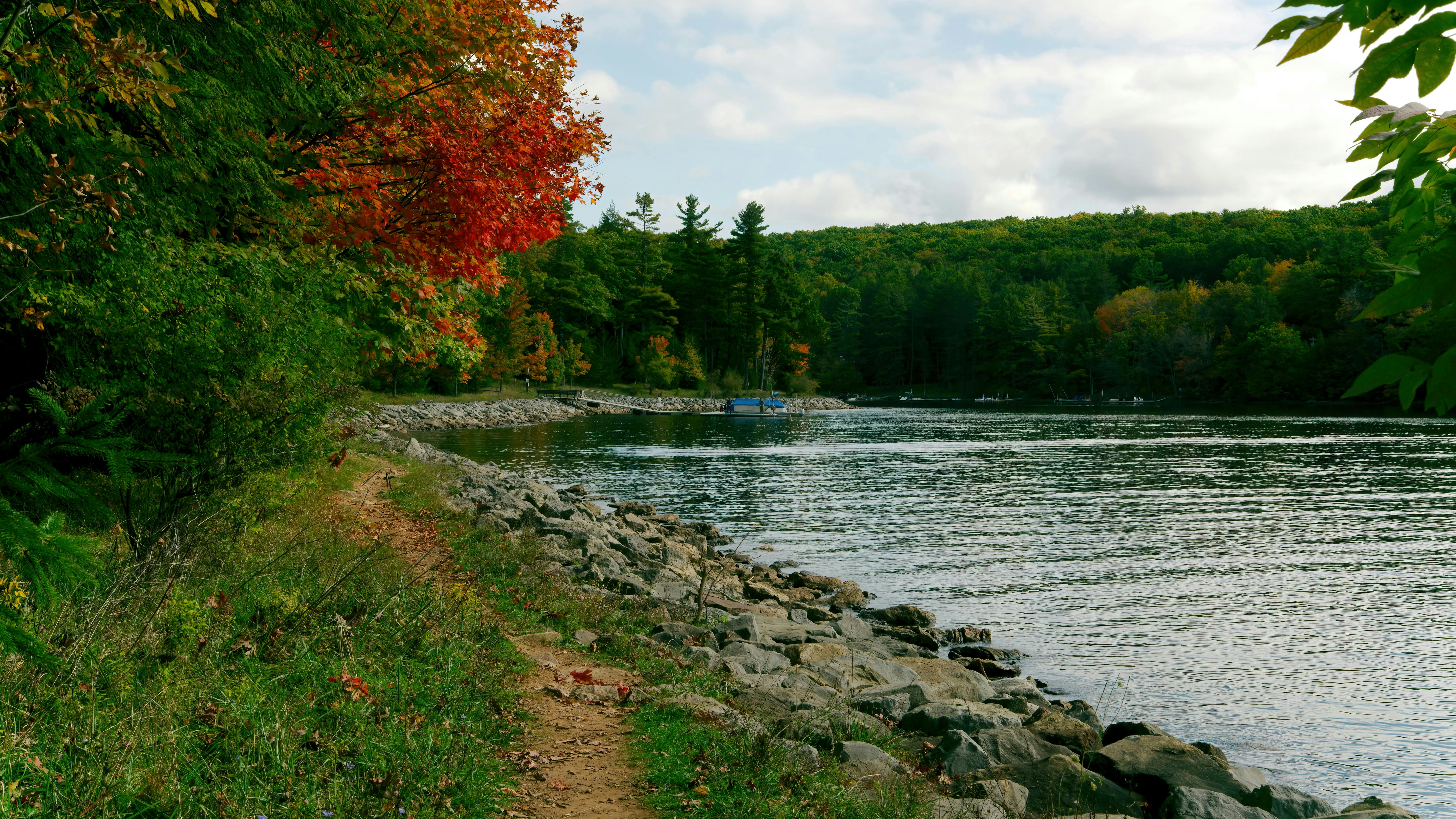 69a8574d527a35e2d63a12fe Dreamstime Xxl 233084520