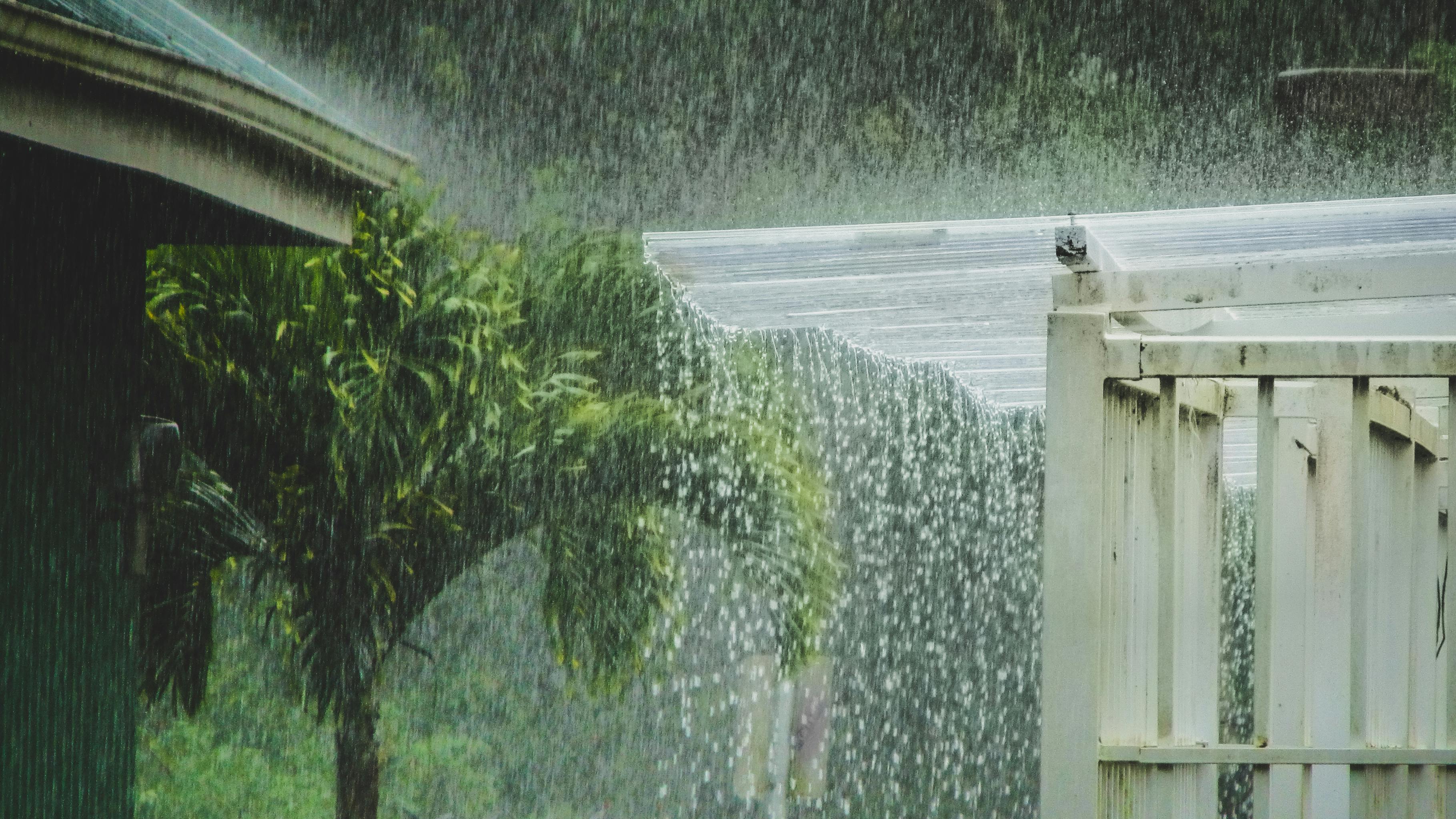 dreamstime_xxl_97418041