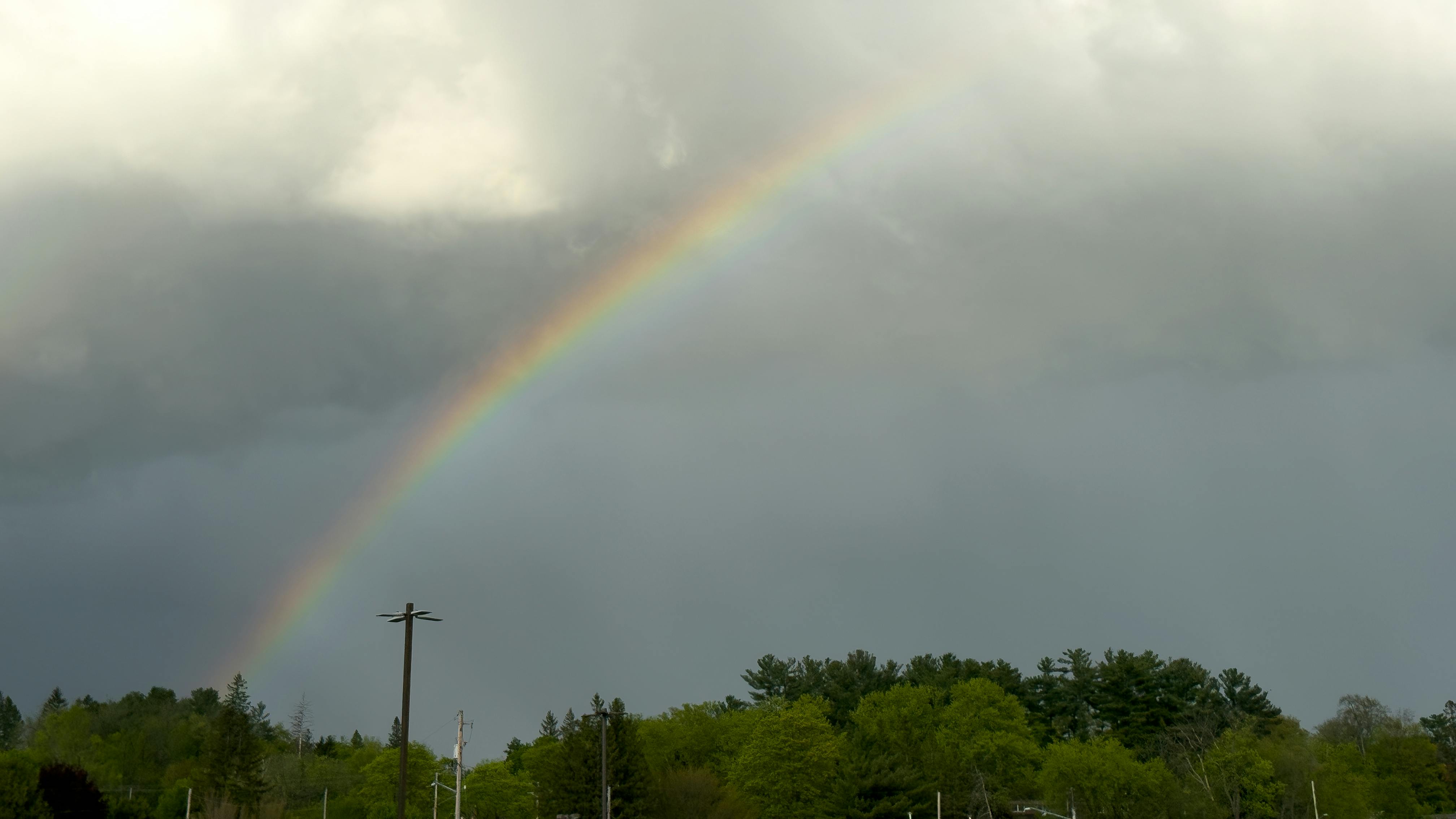 dreamstime_xxl_381709664