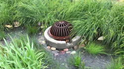 green_infrastructures_role_in_urban_flood_mitigati