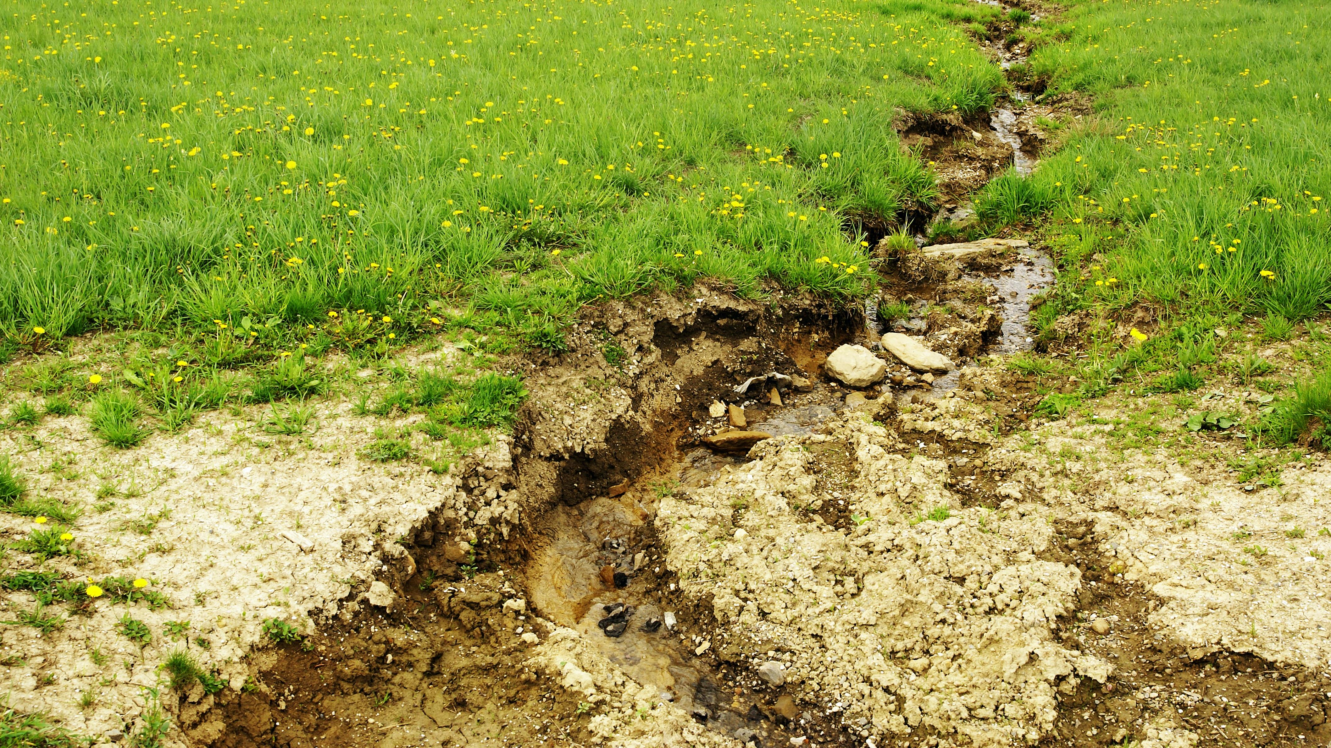 dreamstime_xxl_25946931