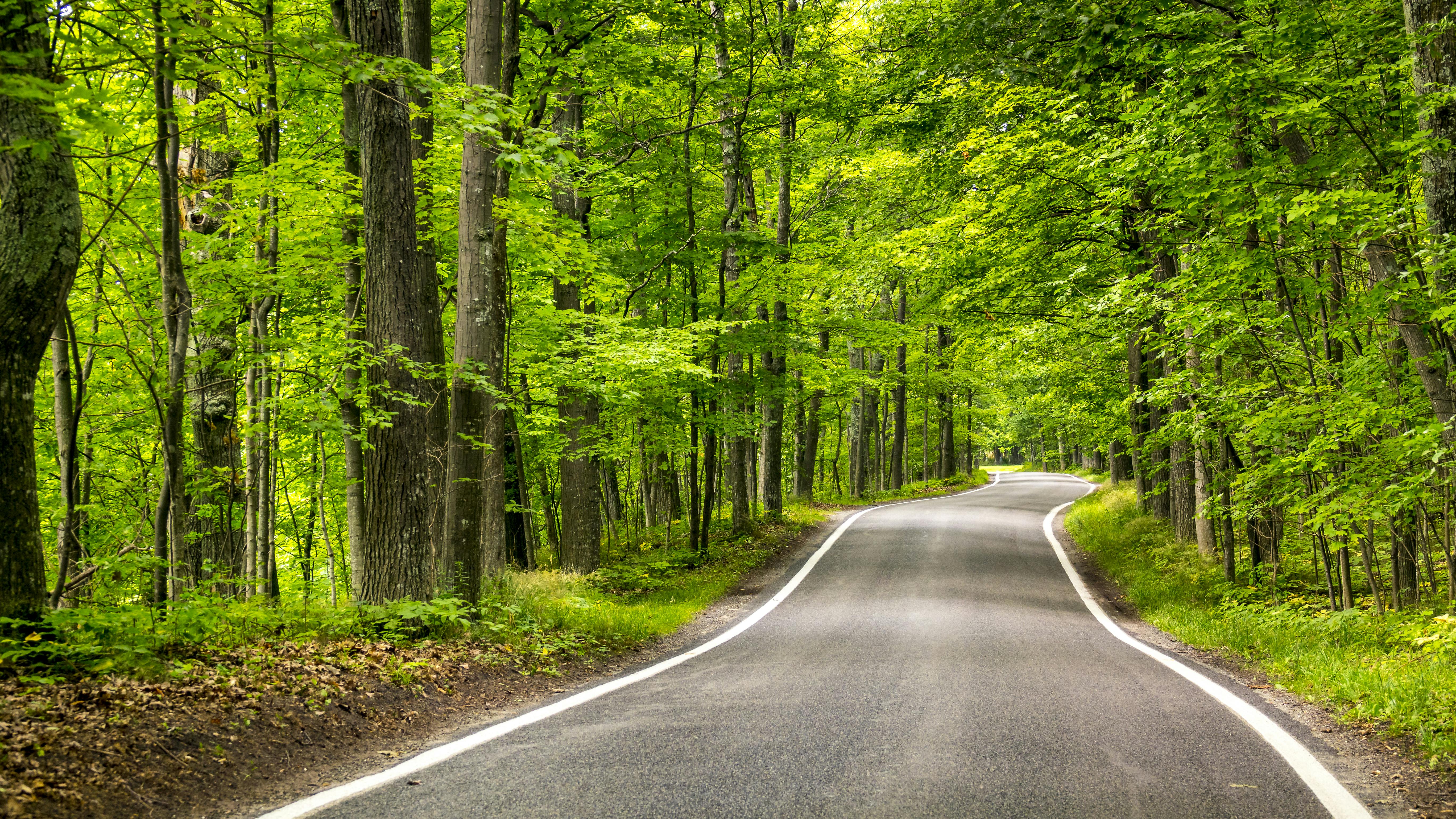 dreamstime_xxl_181969167