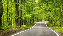 69de32046b5241982033cf0e Dreamstime Xxl 181969167 69de32046b5241982033cf0e Dreamstime Xxl 181969167