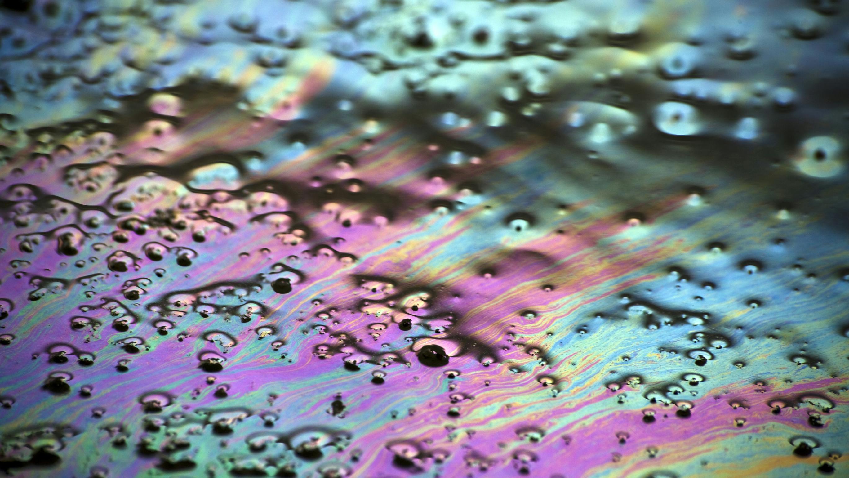 A rainbow-colored oil sheen on water, indicating the presence of petroleum contamination, which is often used as a visual indicator during stormwater compliance inspections.