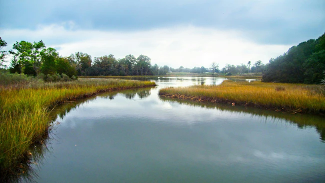 How program management is revolutionizing Chesapeake Bay TMDL compliance