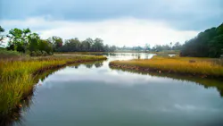 How program management is revolutionizing Chesapeake Bay TMDL compliance How program management is revolutionizing Chesapeake Bay TMDL compliance