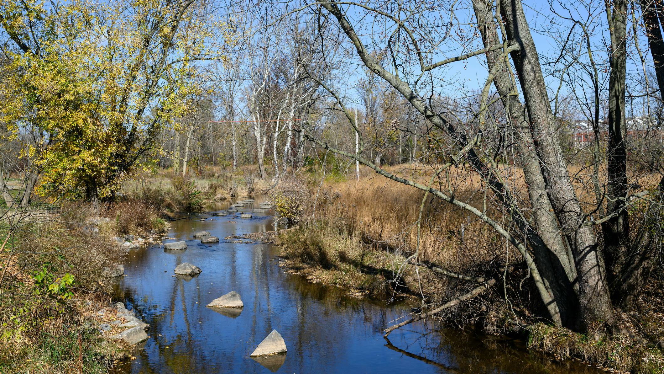 Stream, floodplain, dam removal and wetland restoration along a stream