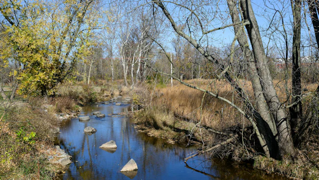 Stream, floodplain, dam removal and wetland restoration along a stream