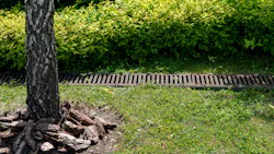 6a1603502ccff33f7f0aebfd Dreamstime Xxl 239345395 6a1603502ccff33f7f0aebfd Dreamstime Xxl 239345395
