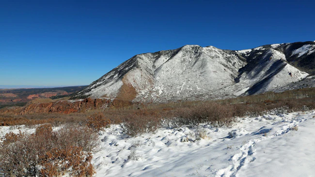 Landscape in La Sal Mountains, Utah