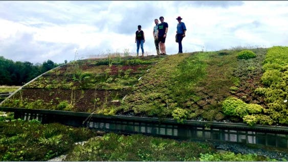 green_roof