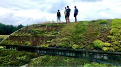Individuals stand atop a green roof, using a vegetative layer to reduce stormwater runoff.