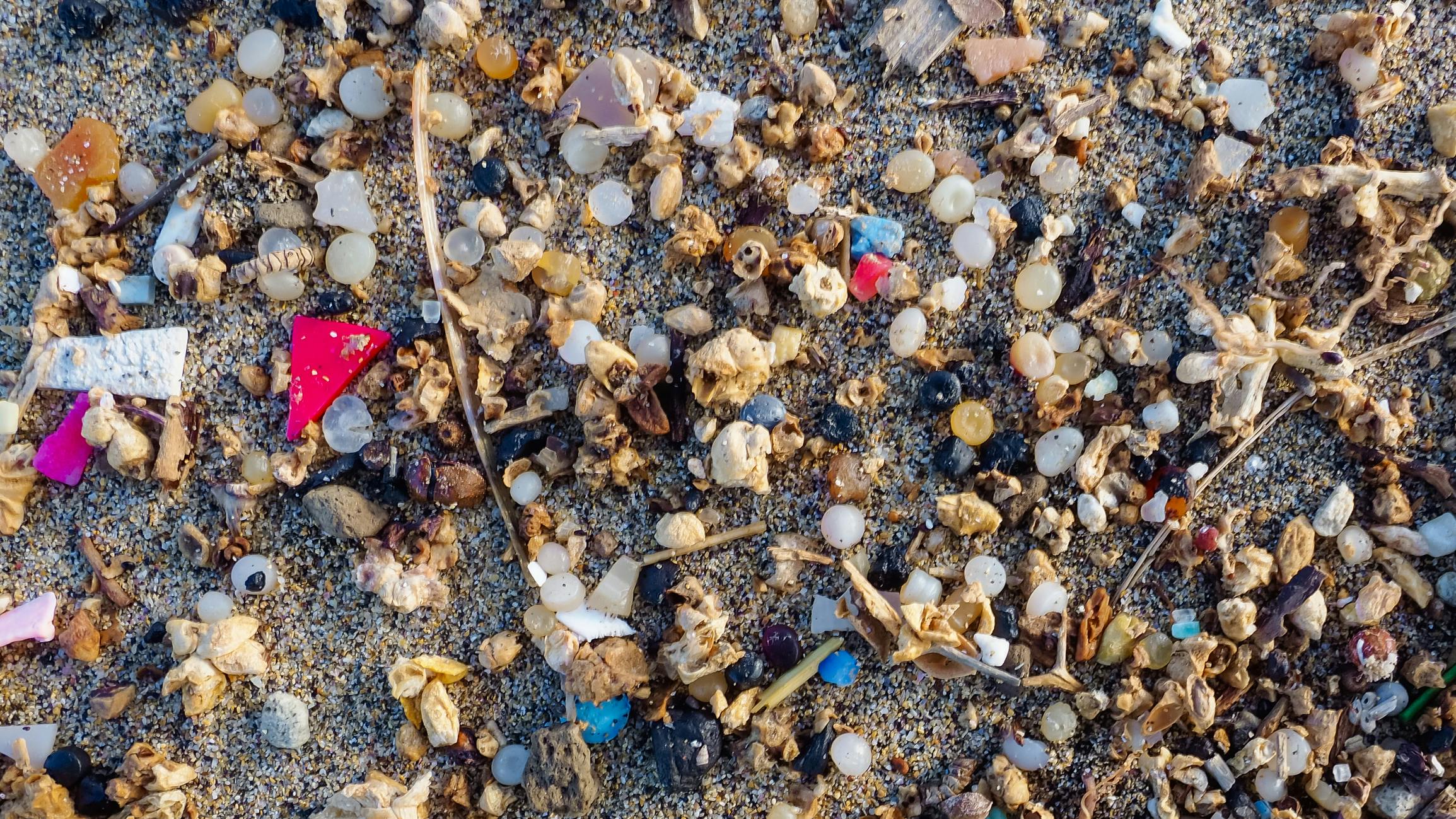 International volunteer survey finds widespread plastic pellet pollution in waterways