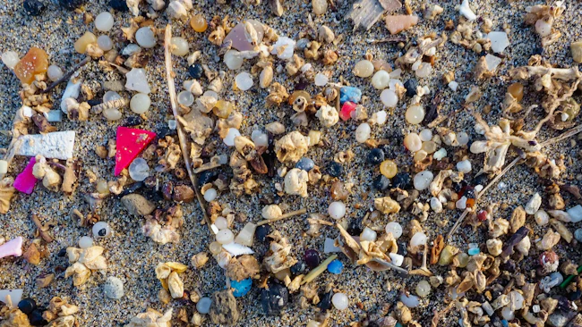 International volunteer survey finds widespread plastic pellet pollution in waterways