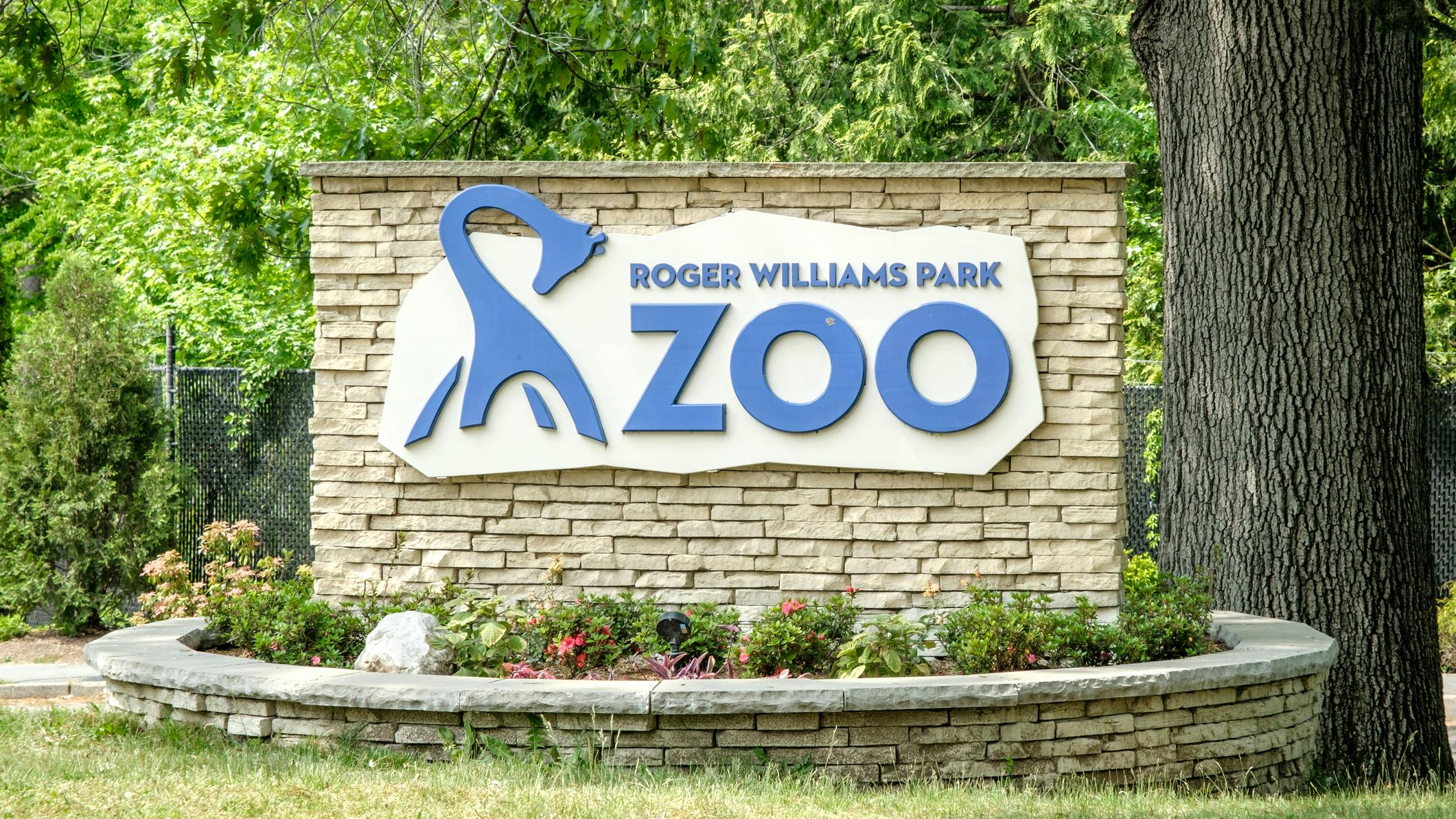 Roger Williams Park Zoo completes stormwater master plan to improve water quality