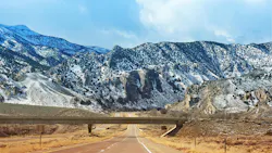 6a5fe919bc6ff900f03db181 Dreamstime Xxl 25954835