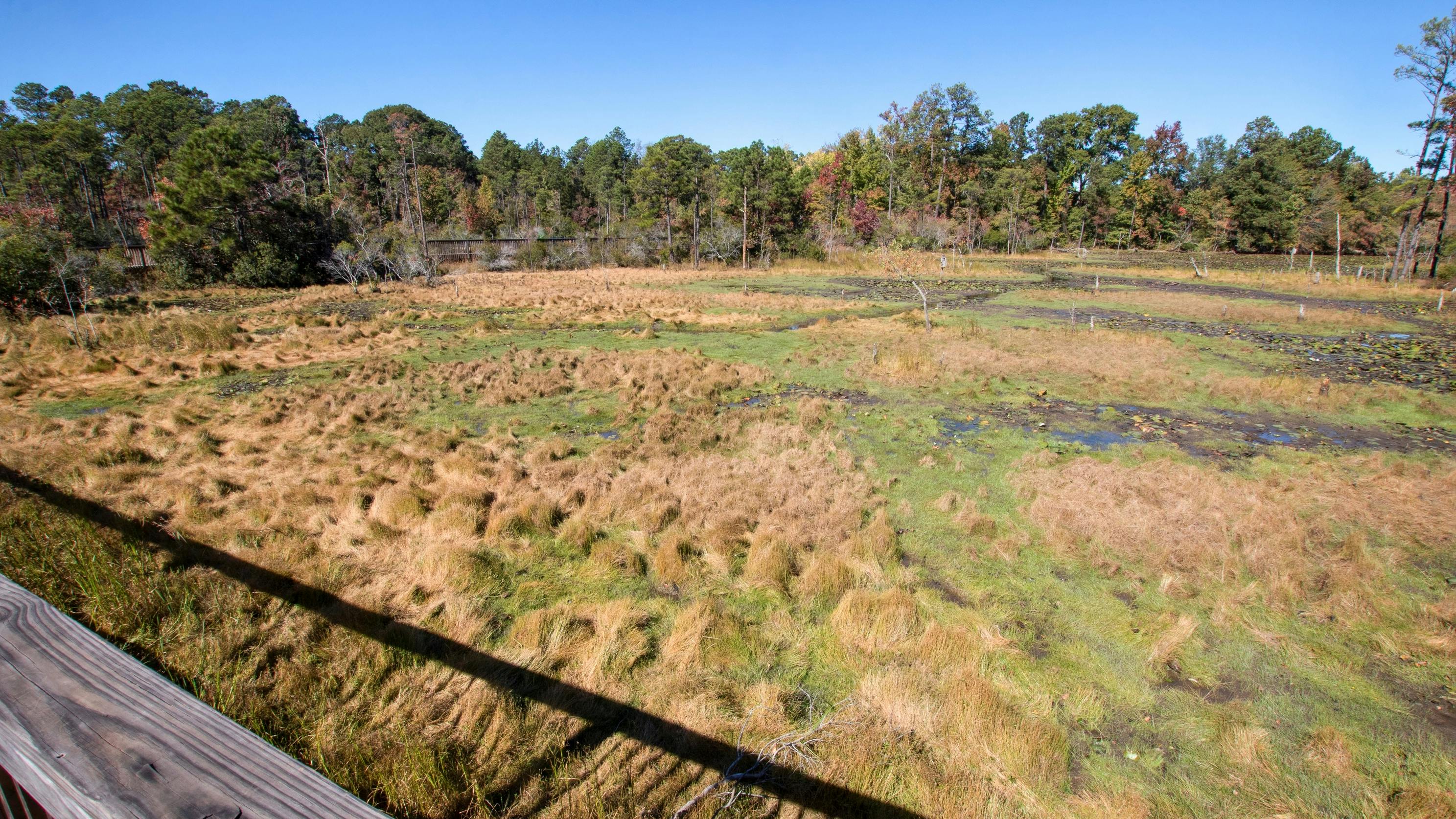 SEPRO reports progress on ecosystem restoration, water protection goals