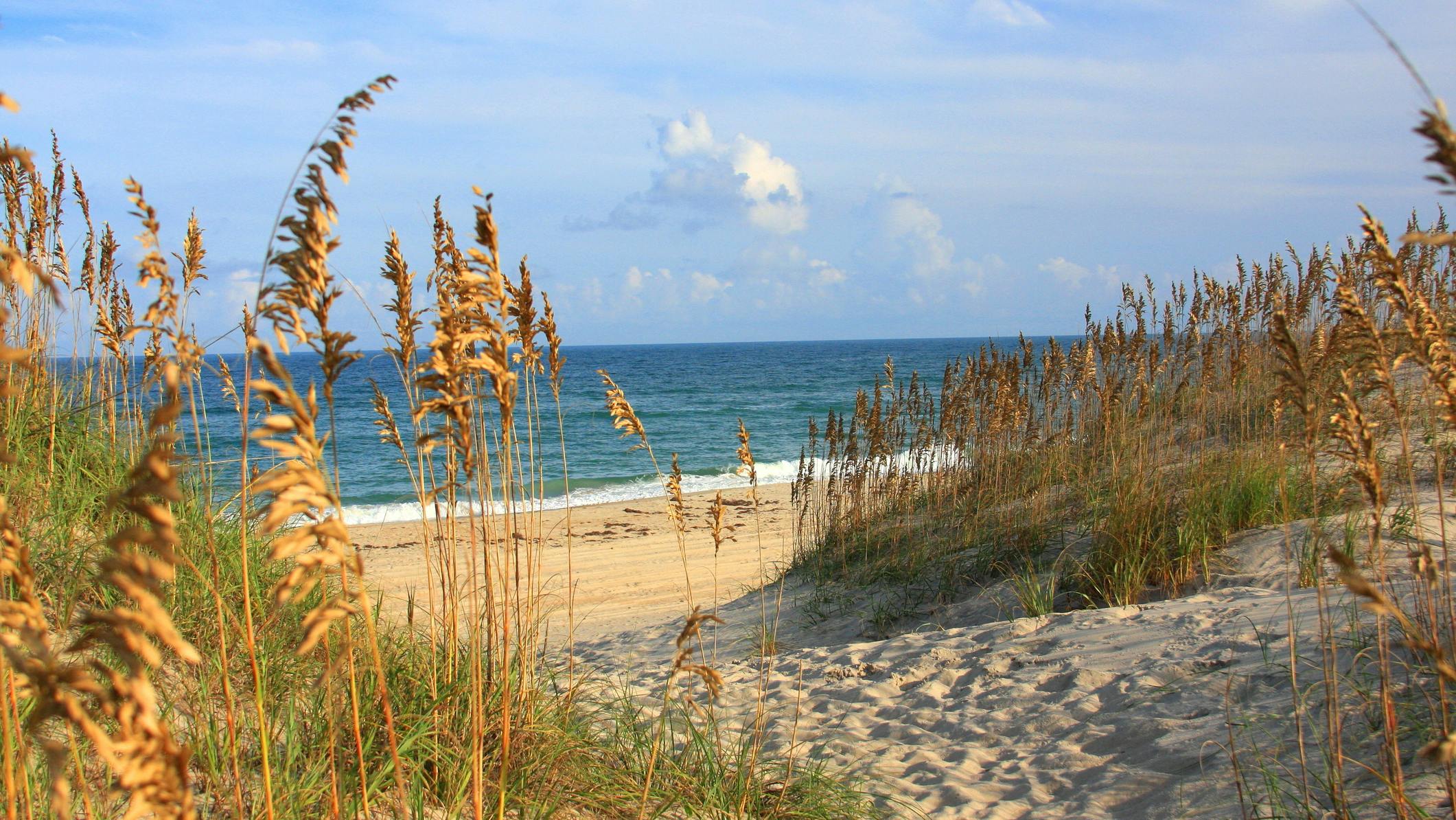 APNEP grants support water quality, coastal resilience projects across North Carolina