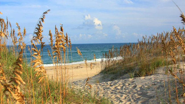 APNEP grants support water quality, coastal resilience projects across North Carolina