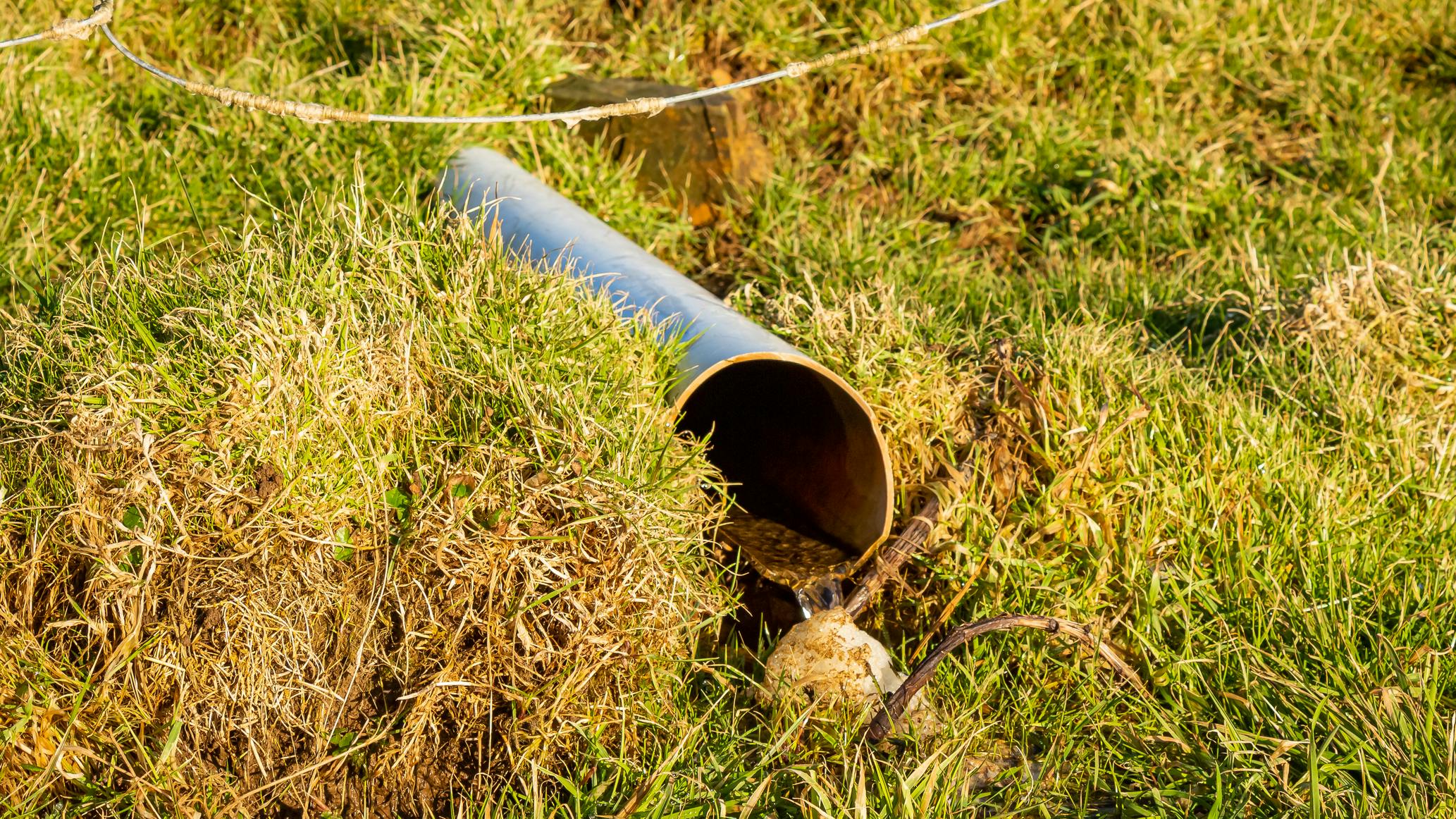 EPA, DOJ reach settlement with mustard manufacturer over stormwater violations