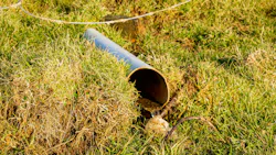 EPA, DOJ reach settlement with mustard manufacturer over stormwater violations