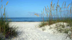 EPA awards $24M for Gulf watershed nutrient reduction projects
