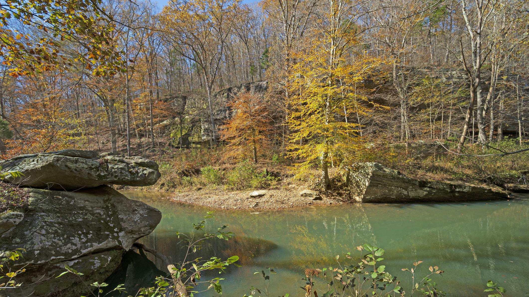 Federal judge sets aside Shawnee National Forest logging decision