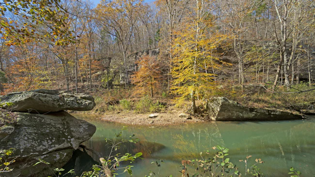 Federal judge sets aside Shawnee National Forest logging decision