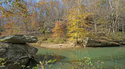 Federal judge sets aside Shawnee National Forest logging decision
