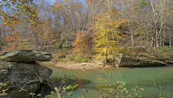 Federal judge sets aside Shawnee National Forest logging decision