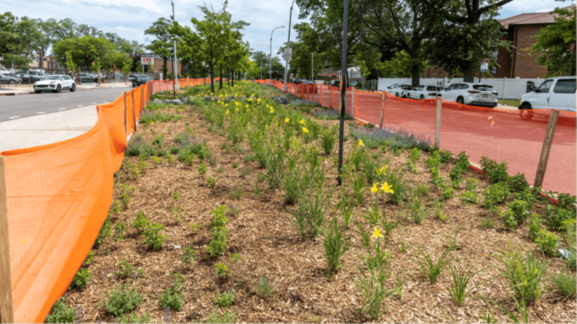 New York City to convert Queens medians into stormwater green infrastructure