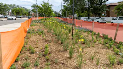 New York City to convert Queens medians into stormwater green infrastructure