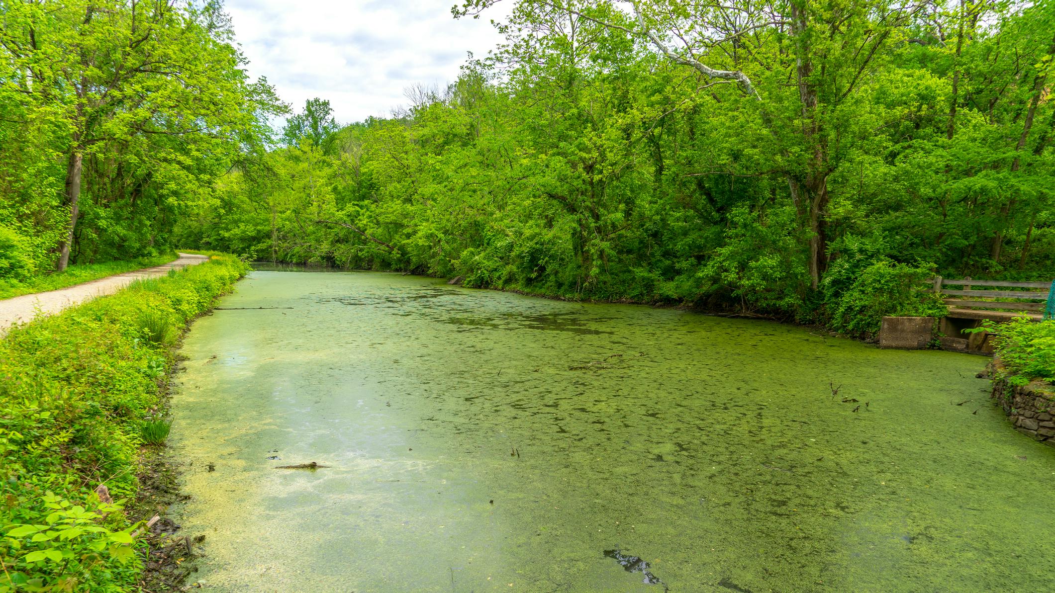 Reservoir Center launches real-time E. coli monitoring pilot on Anacostia River