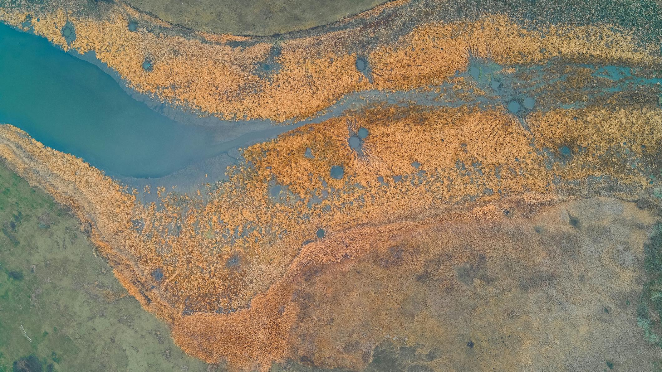 EPA awards $3.46 million for Pacific Southwest wetland projects