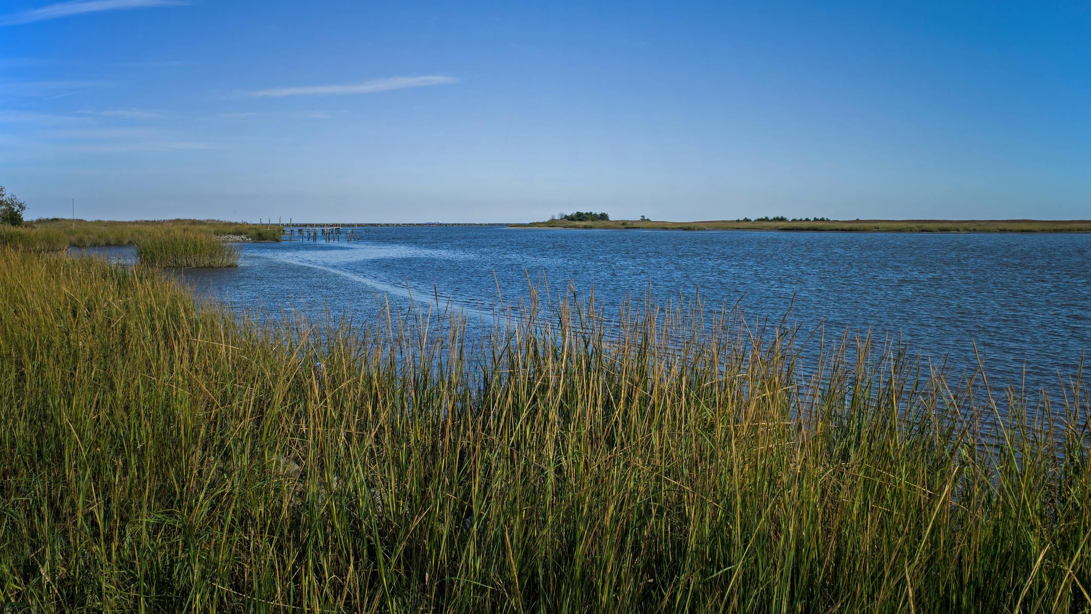 EPA awards $2.55 million for Mid-Atlantic wetland projects